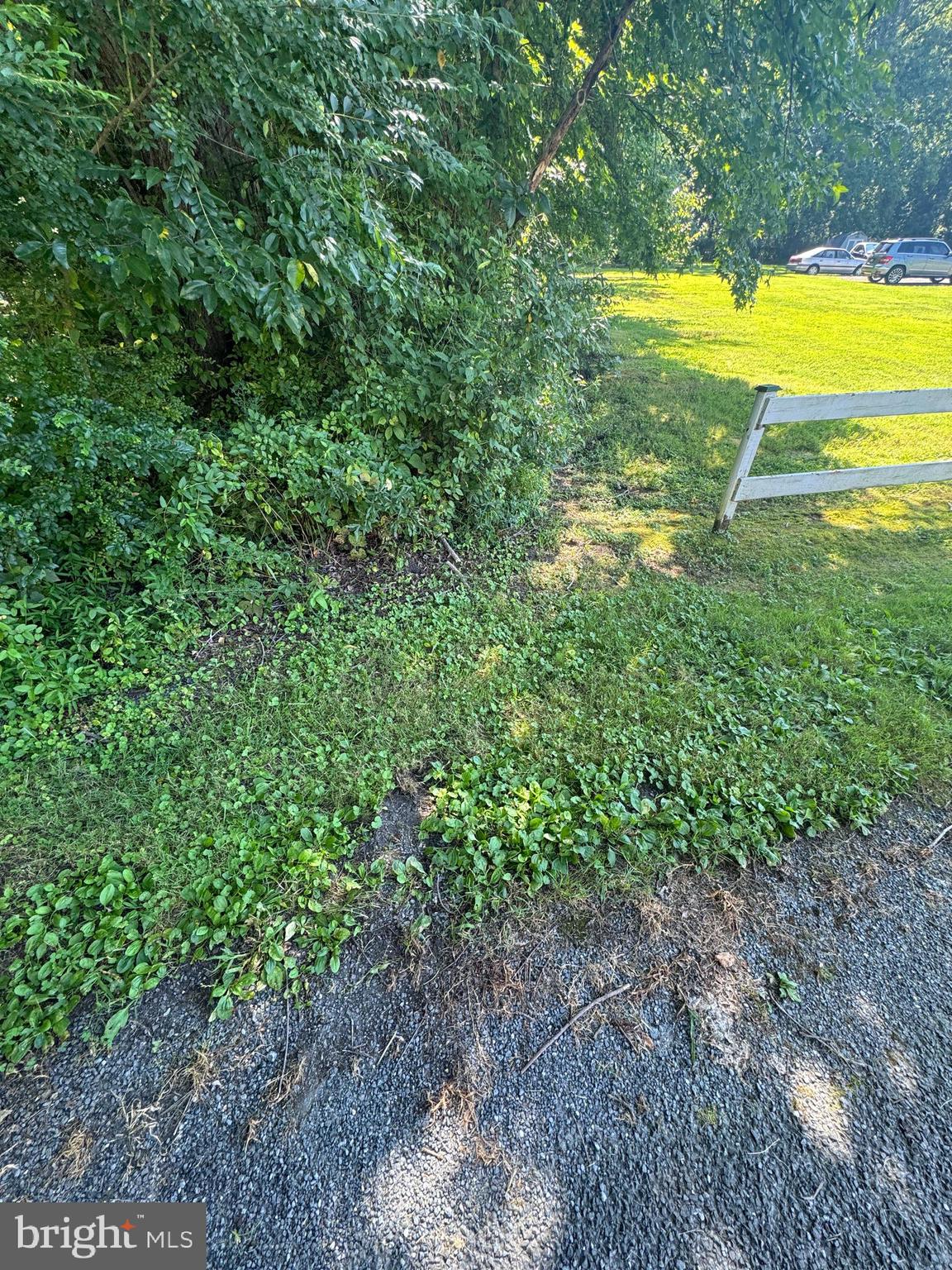 Allens Lane Rock Hall, MD 21661 - Photo 13 of 21 a view of an outdoor space and a yard