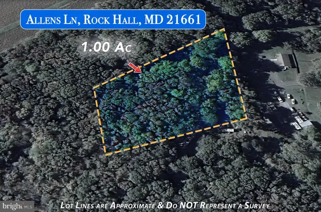 a street sign that is sitting in the middle of a lot of flowers