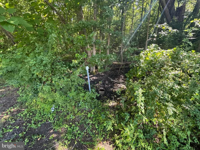 a backyard of a house with lots of green space and garden