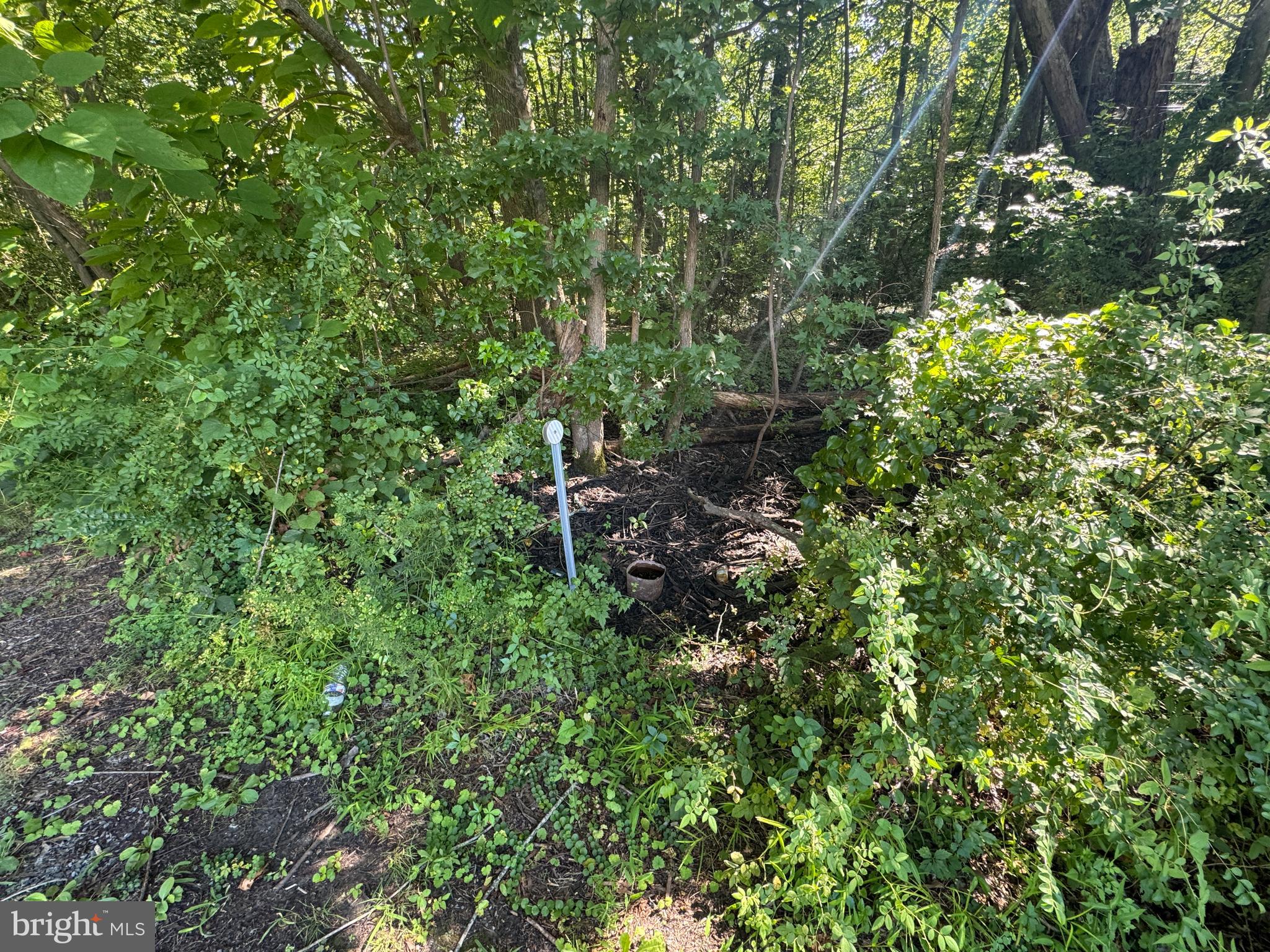 Allens Lane Rock Hall, MD 21661 - Photo 5 of 21 a backyard of a house with lots of green space and garden