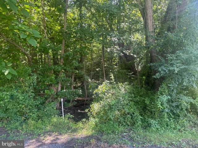 a view of outdoor space and green space