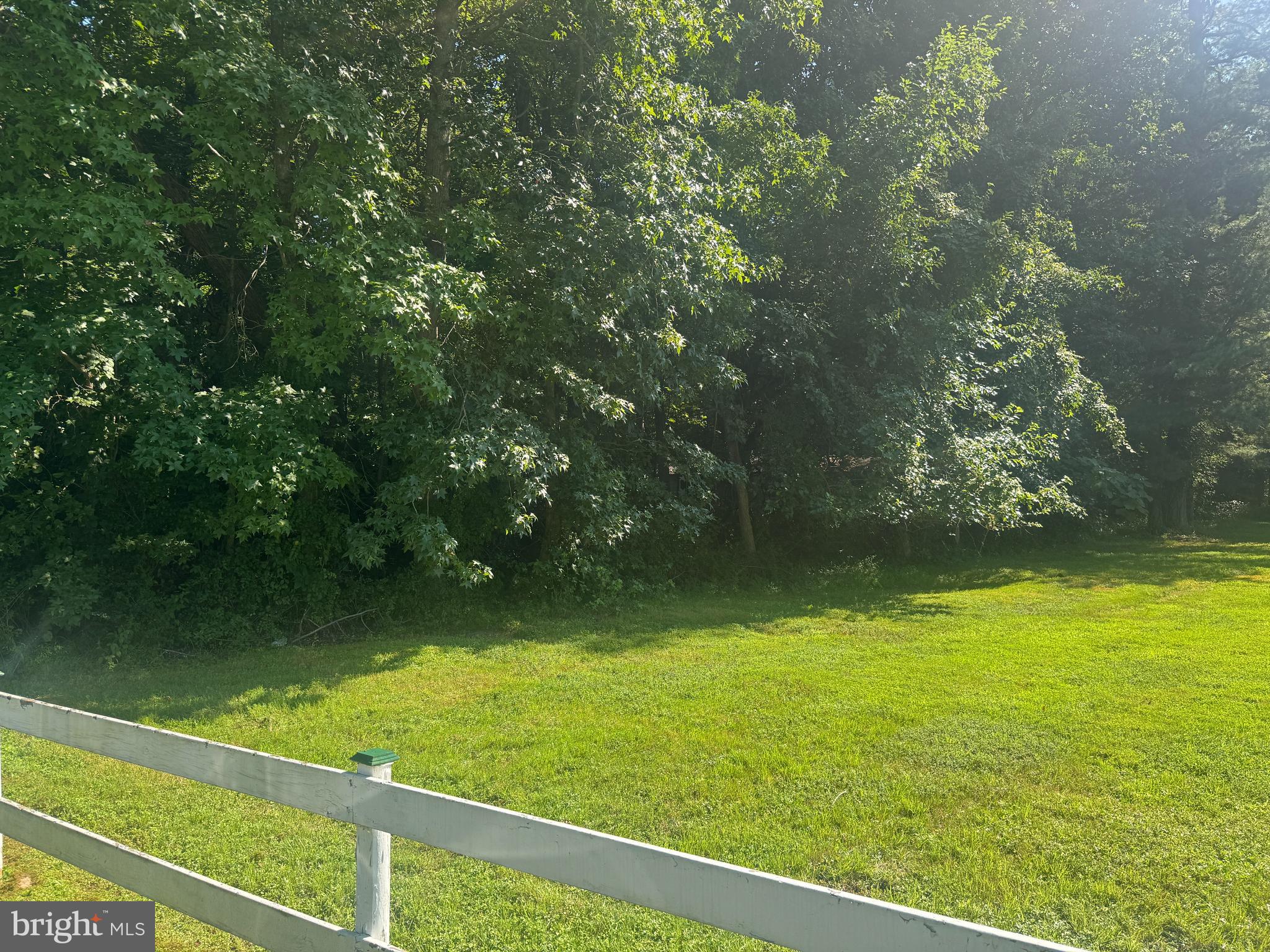 Allens Lane Rock Hall, MD 21661 - Photo 10 of 21 a view of outdoor space and window