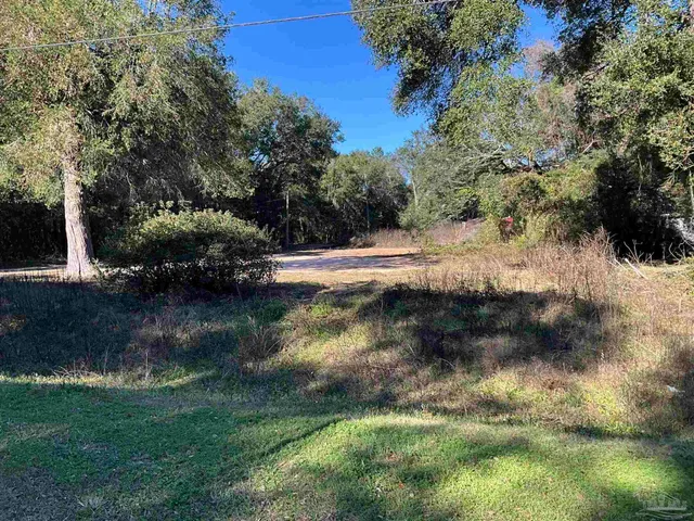a view of a lake from a yard