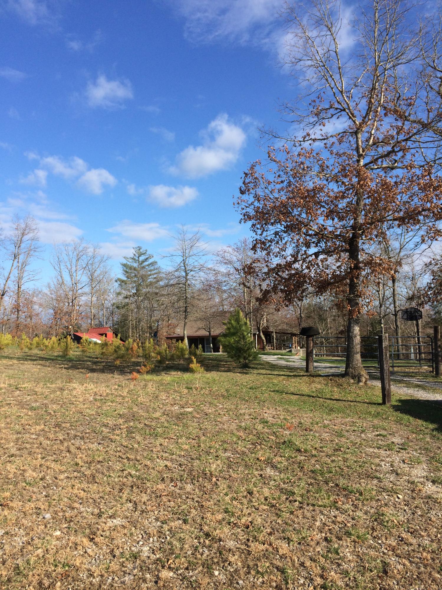 596 Meister Hills Road Deer Lodge, TN 37726 - Photo 2 of 31 B-Property Entrance View.JPG
