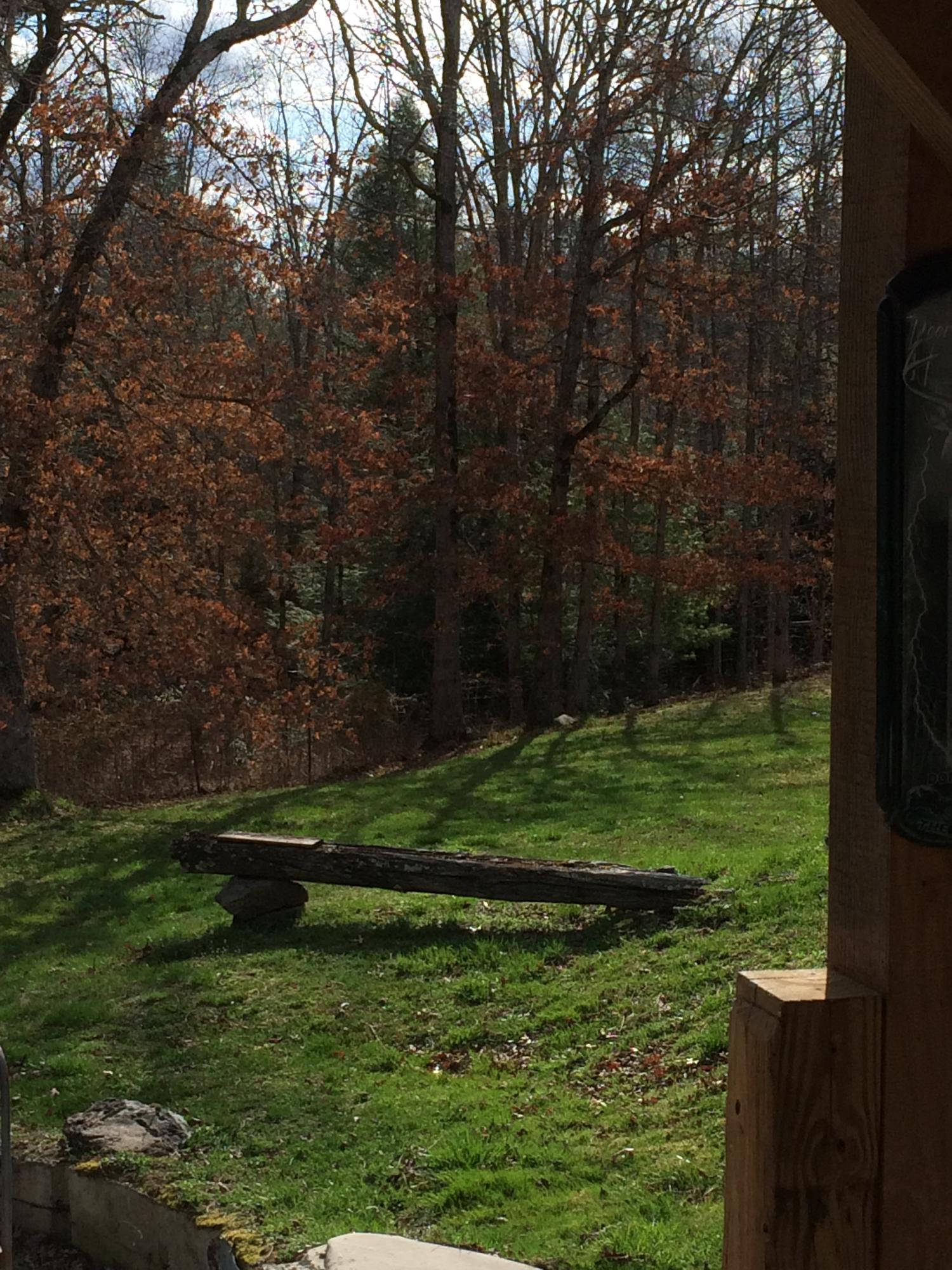 596 Meister Hills Road Deer Lodge, TN 37726 - Photo 24 of 31 X.JPG