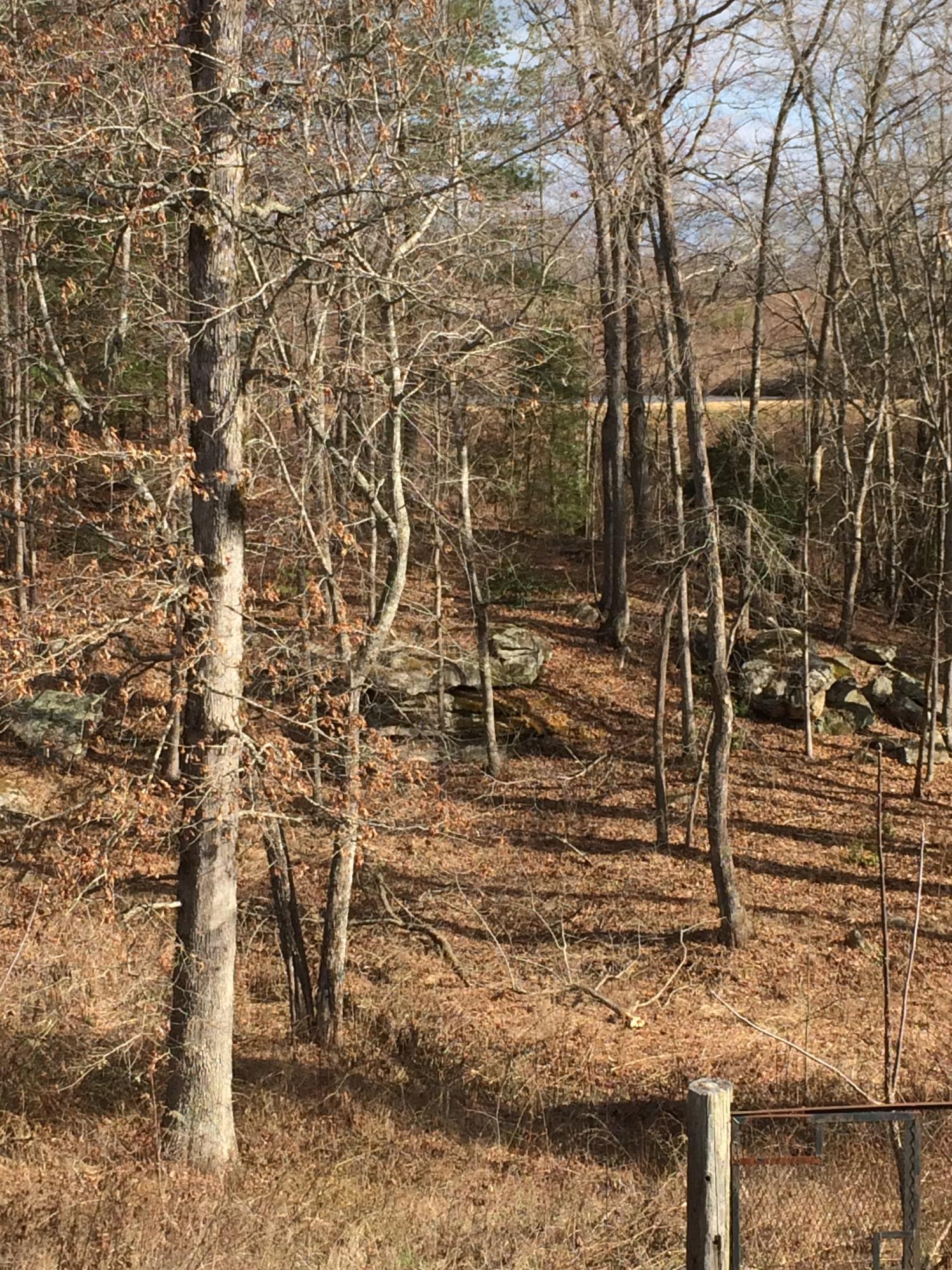 596 Meister Hills Road Deer Lodge, TN 37726 - Photo 26 of 31 z-Property View 2.JPG