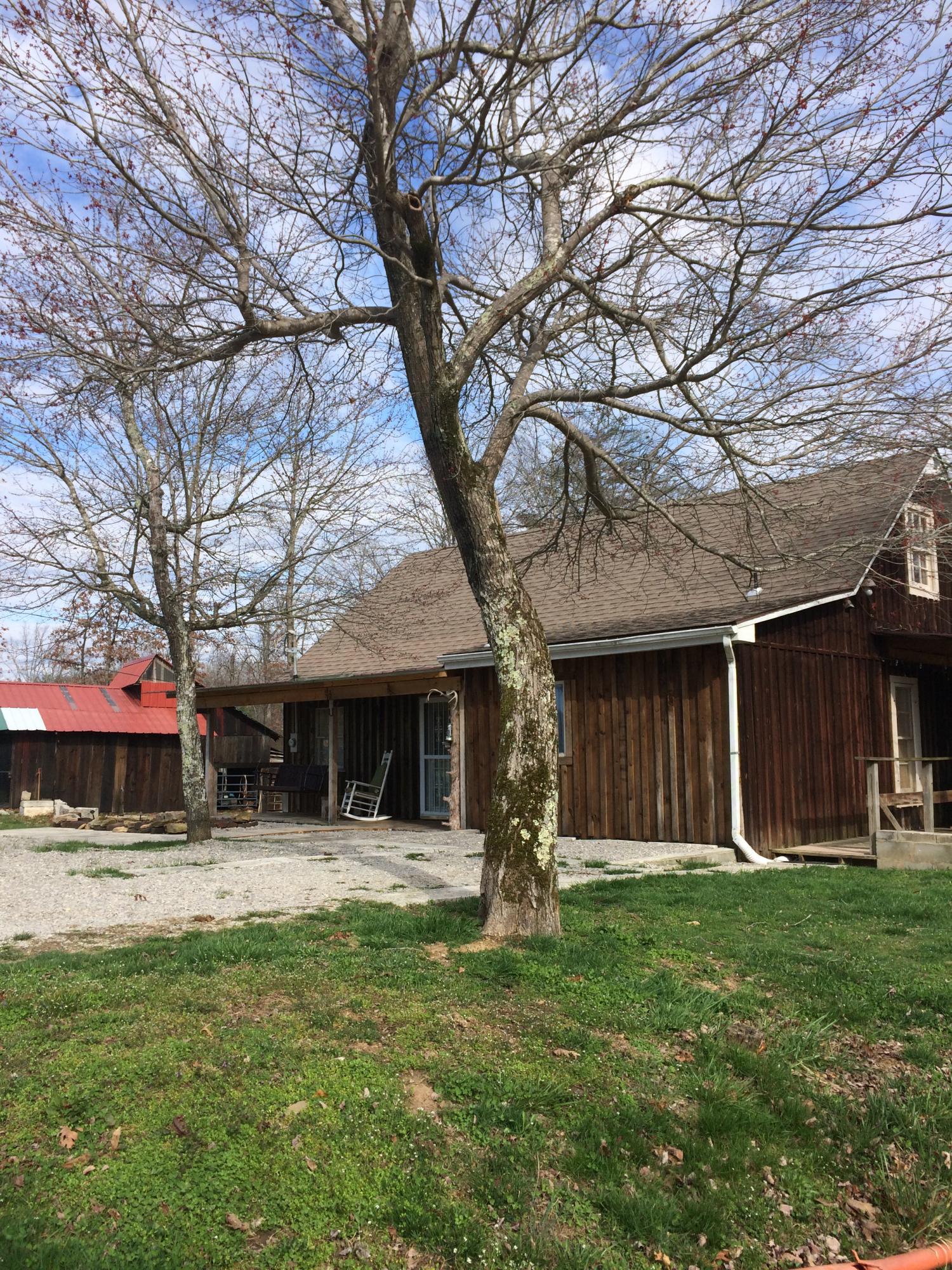 596 Meister Hills Road Deer Lodge, TN 37726 - Photo 4 of 31 D.JPG