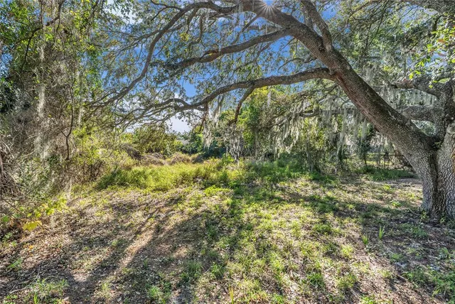 a view of a backyard with large trees