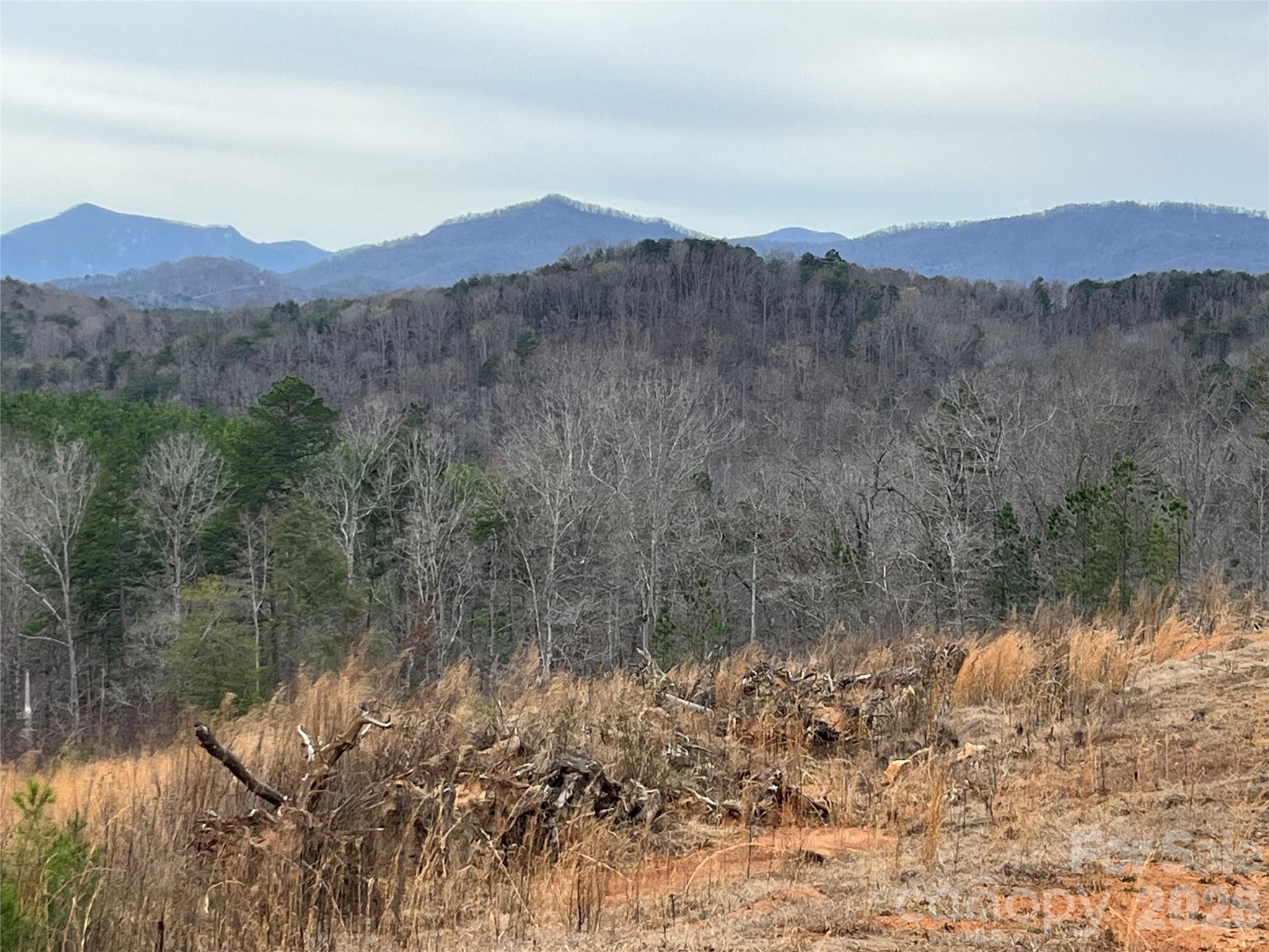 0 Shady Bark Lane, Unit 52 Rutherfordton, NC 28139 - Photo 11 of 45