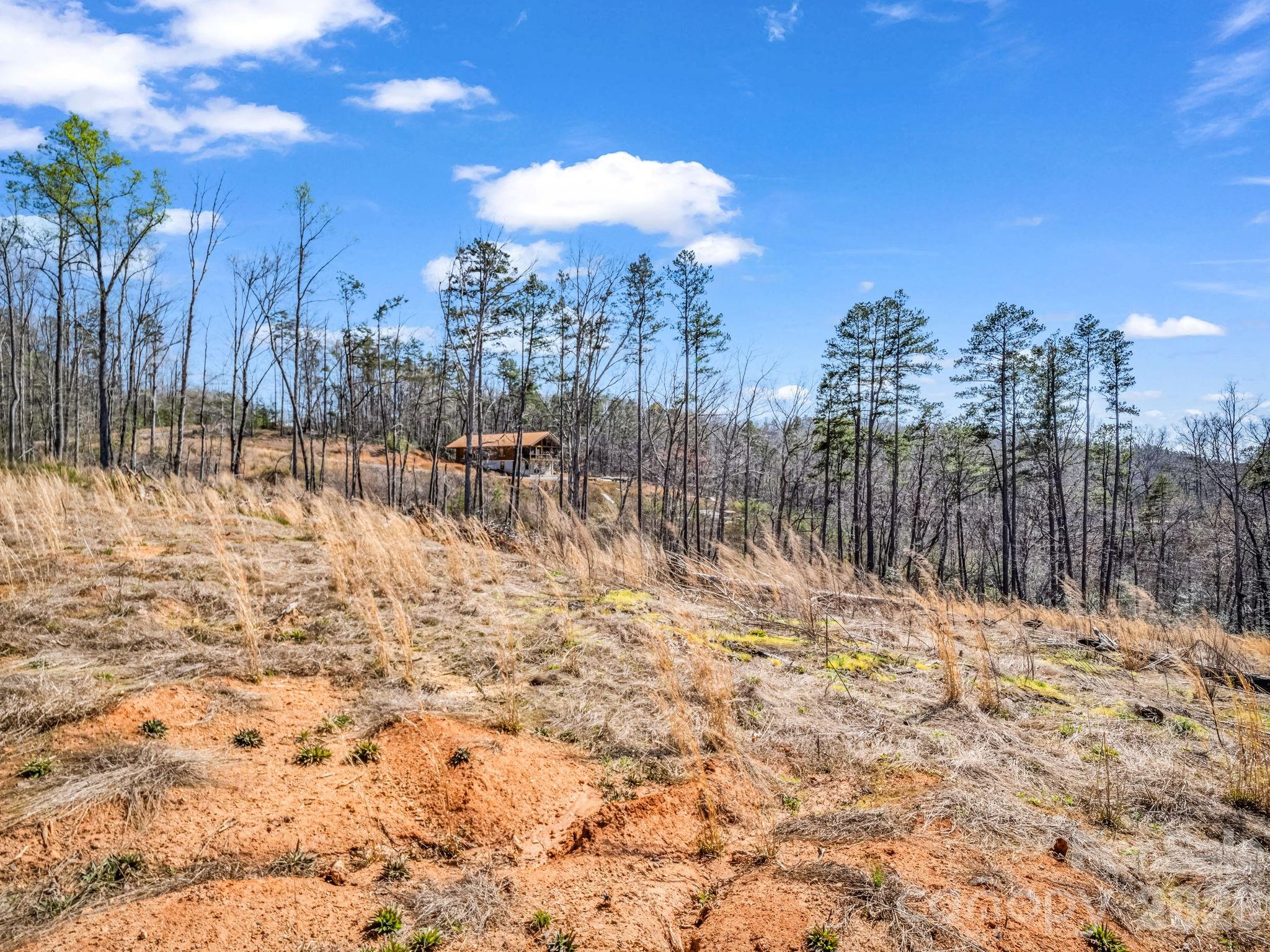 0 Shady Bark Lane, Unit 52 Rutherfordton, NC 28139 - Photo 12 of 45