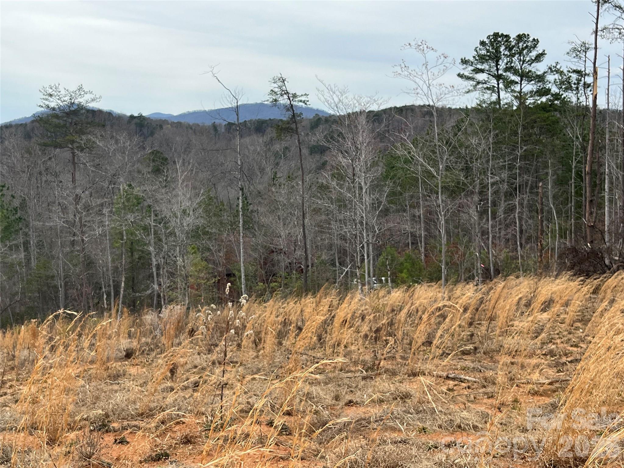 0 Shady Bark Lane, Unit 52 Rutherfordton, NC 28139 - Photo 16 of 45