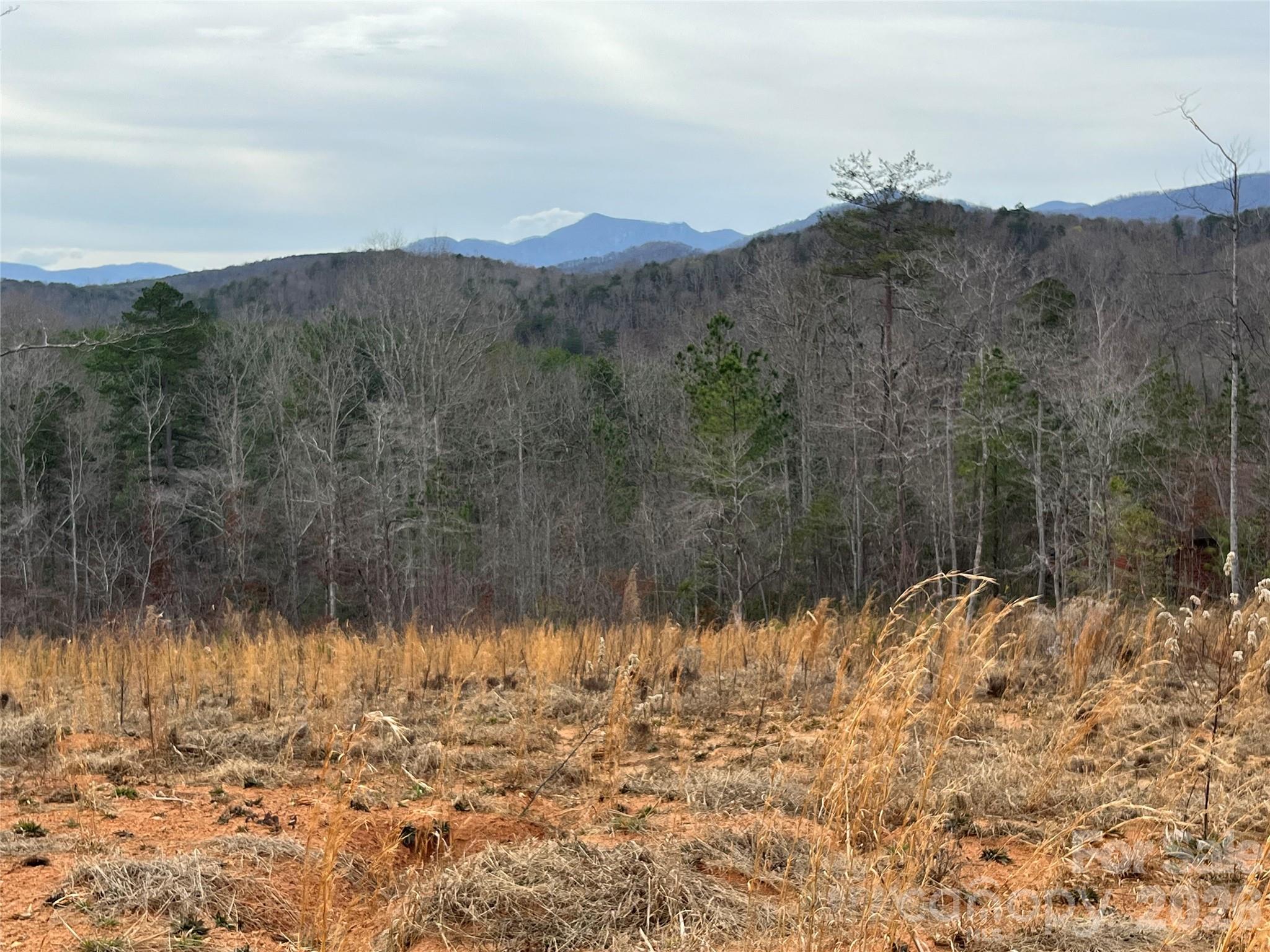 0 Shady Bark Lane, Unit 52 Rutherfordton, NC 28139 - Photo 17 of 45