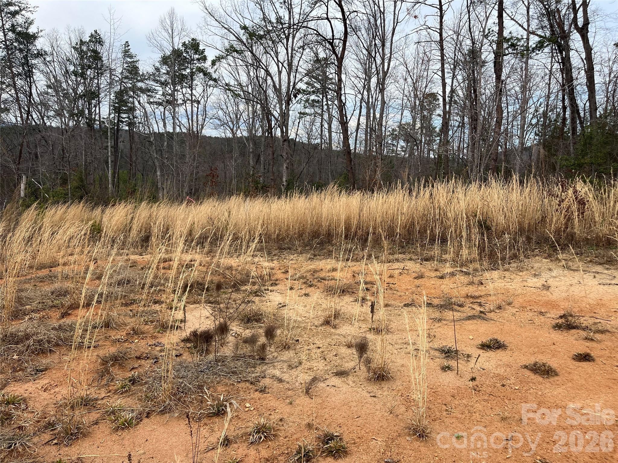 0 Shady Bark Lane, Unit 52 Rutherfordton, NC 28139 - Photo 19 of 45