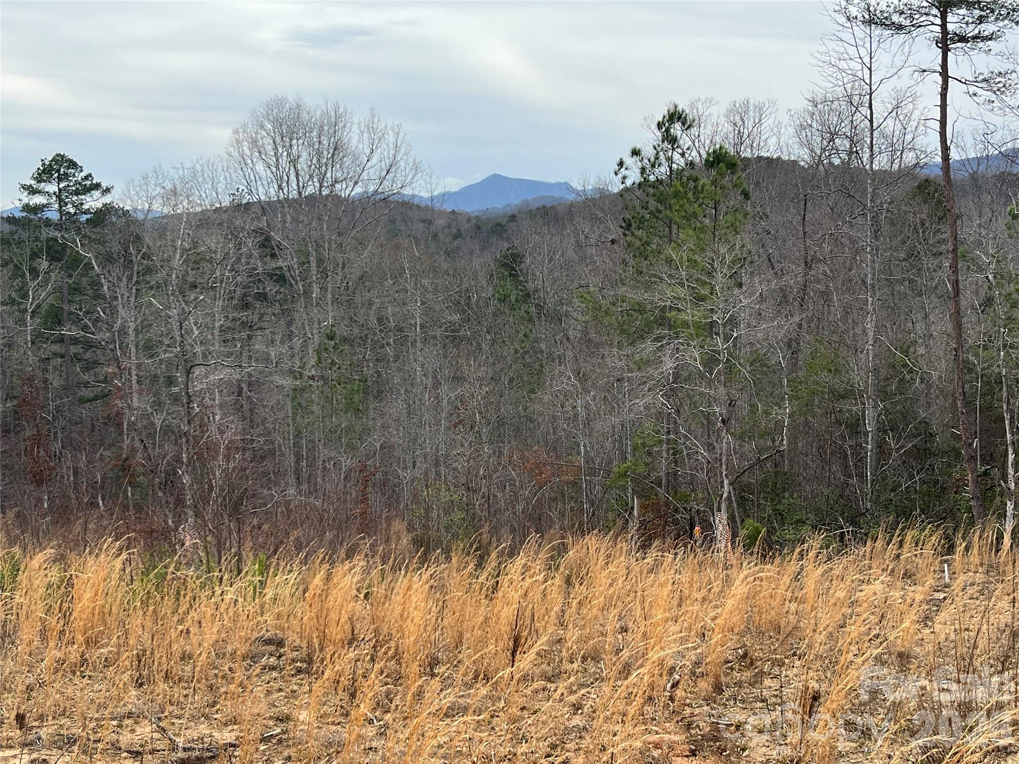 0 Shady Bark Lane, Unit 52 Rutherfordton, NC 28139 - Photo 20 of 45