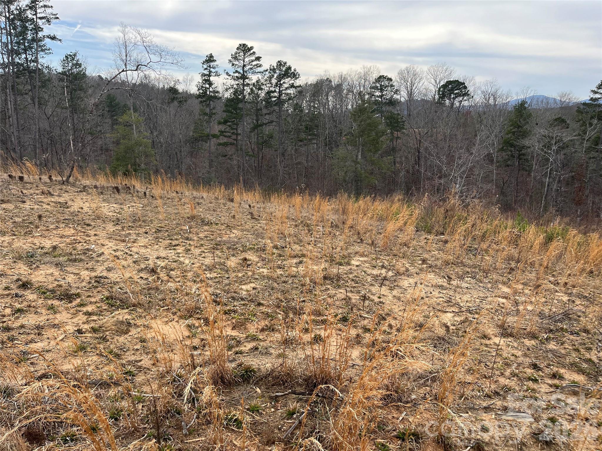 0 Shady Bark Lane, Unit 52 Rutherfordton, NC 28139 - Photo 22 of 45