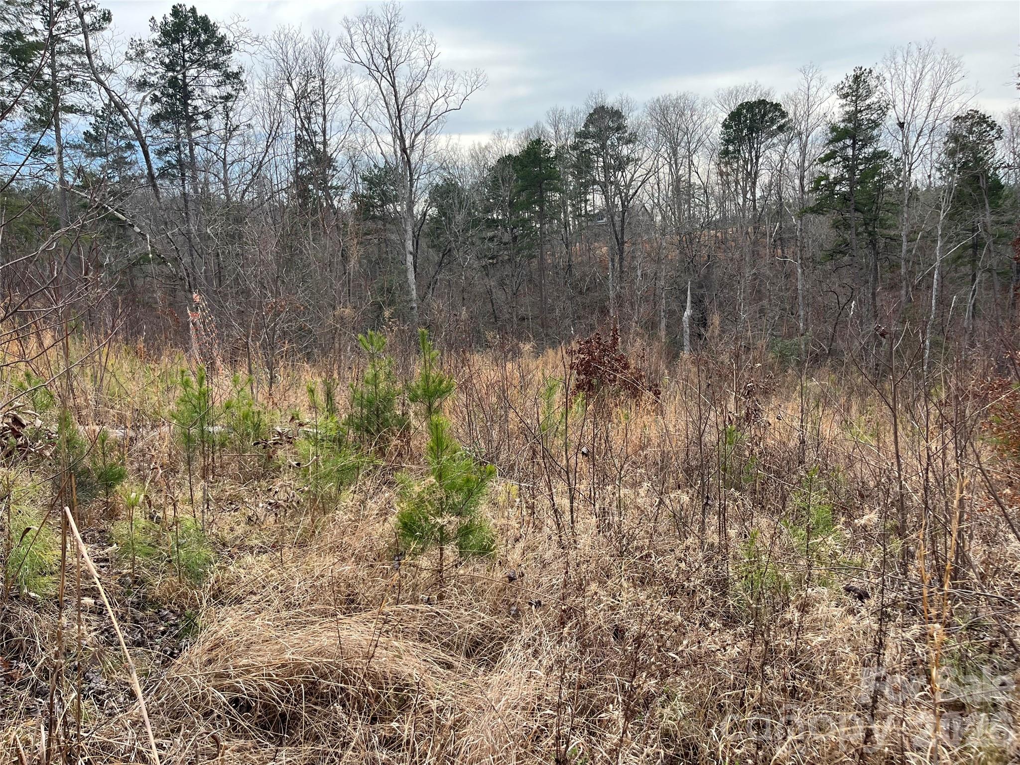 0 Shady Bark Lane, Unit 52 Rutherfordton, NC 28139 - Photo 23 of 45