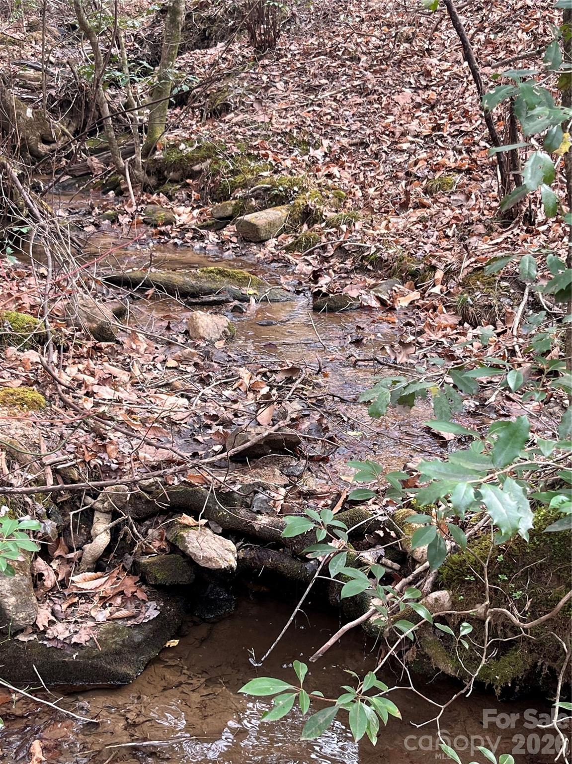 0 Shady Bark Lane, Unit 52 Rutherfordton, NC 28139 - Photo 24 of 45