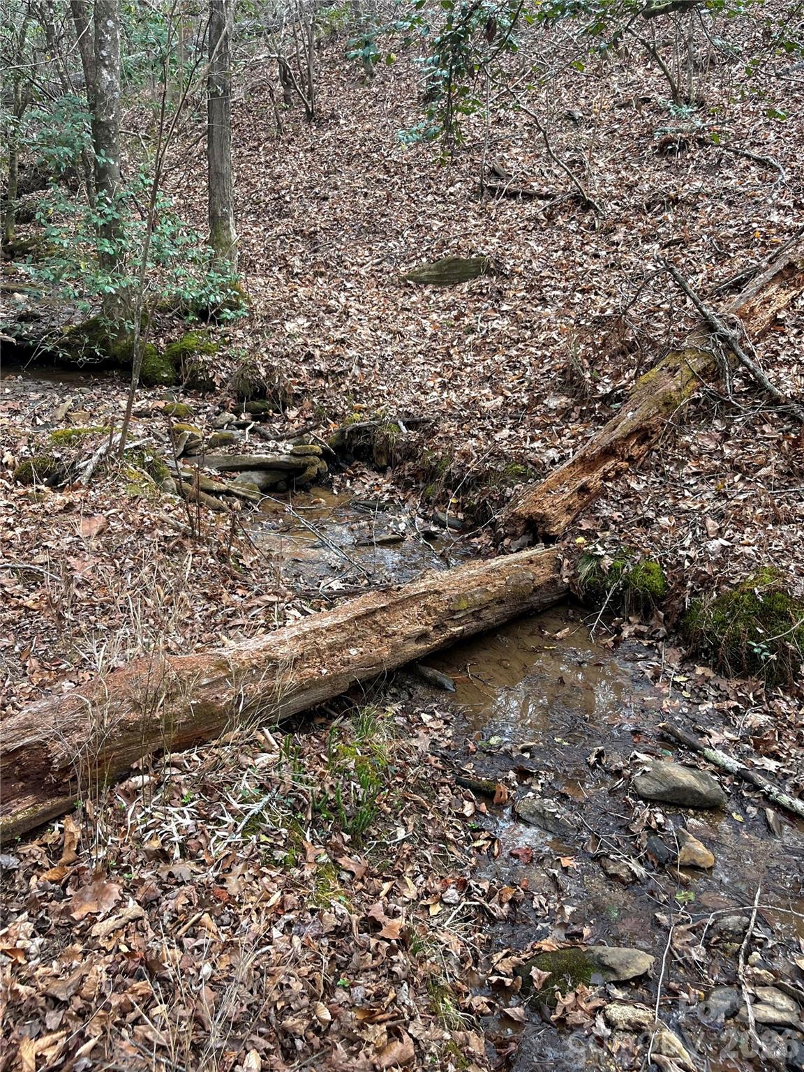 0 Shady Bark Lane, Unit 52 Rutherfordton, NC 28139 - Photo 26 of 45