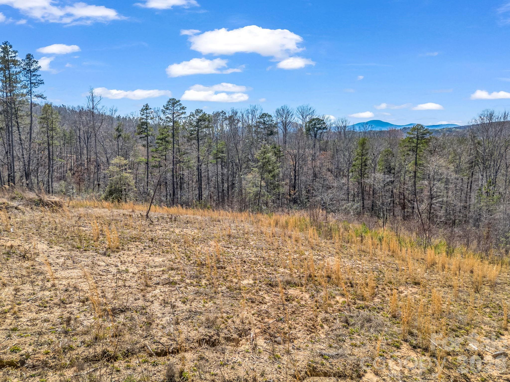 0 Shady Bark Lane, Unit 52 Rutherfordton, NC 28139 - Photo 3 of 45
