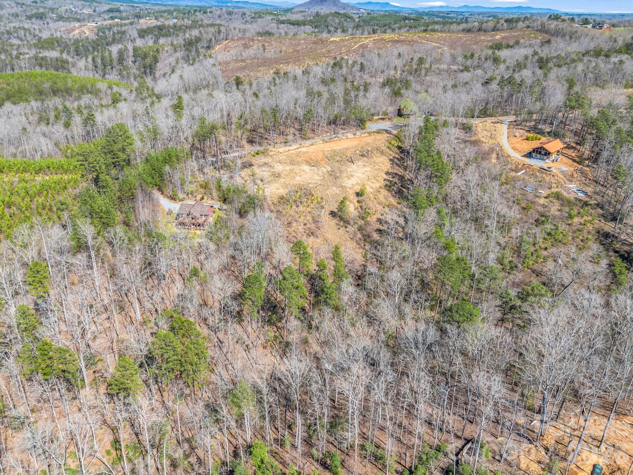 0 Shady Bark Lane, Unit 52 Rutherfordton, NC 28139 - Photo 32 of 45