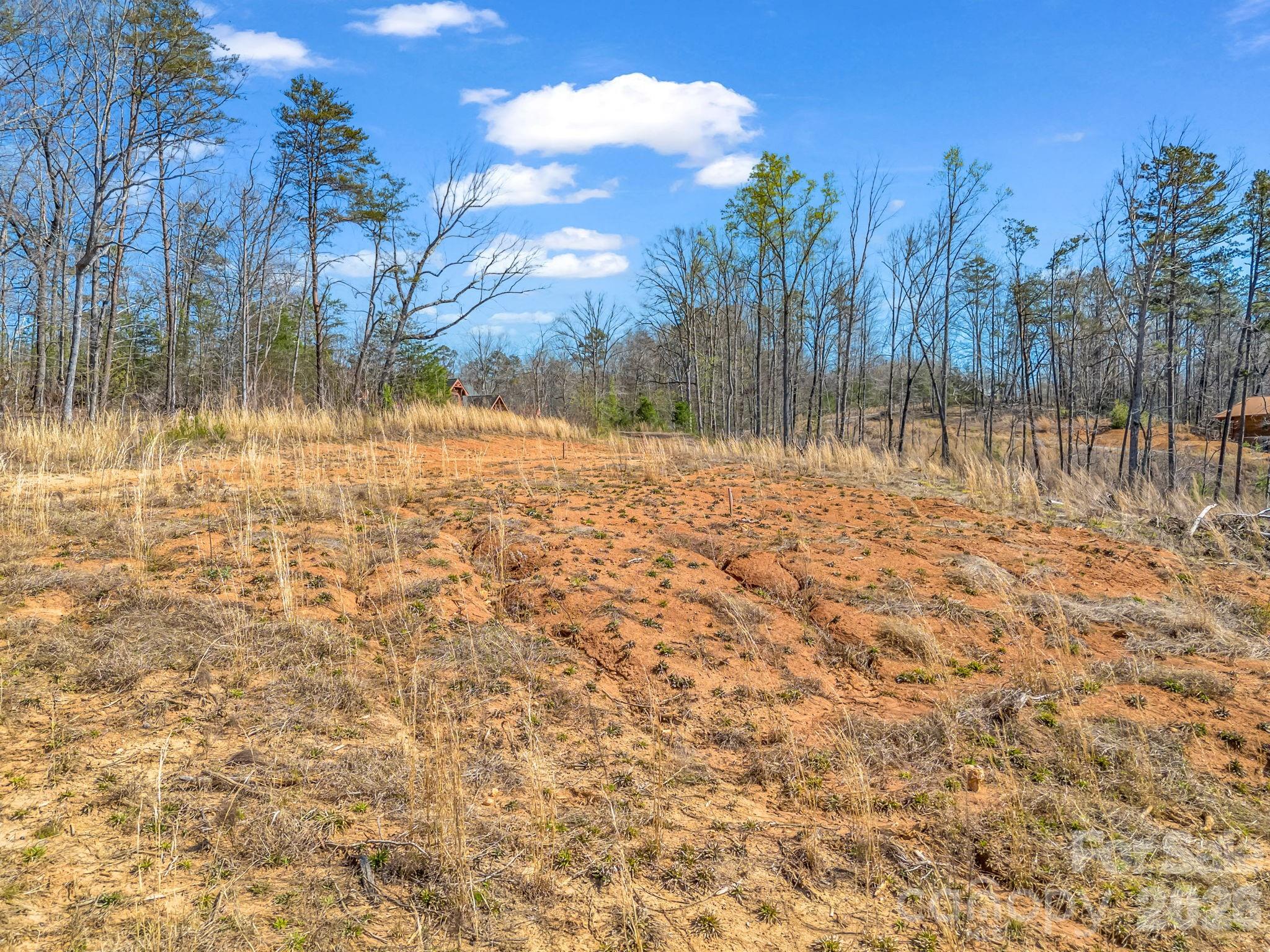 0 Shady Bark Lane, Unit 52 Rutherfordton, NC 28139 - Photo 4 of 45