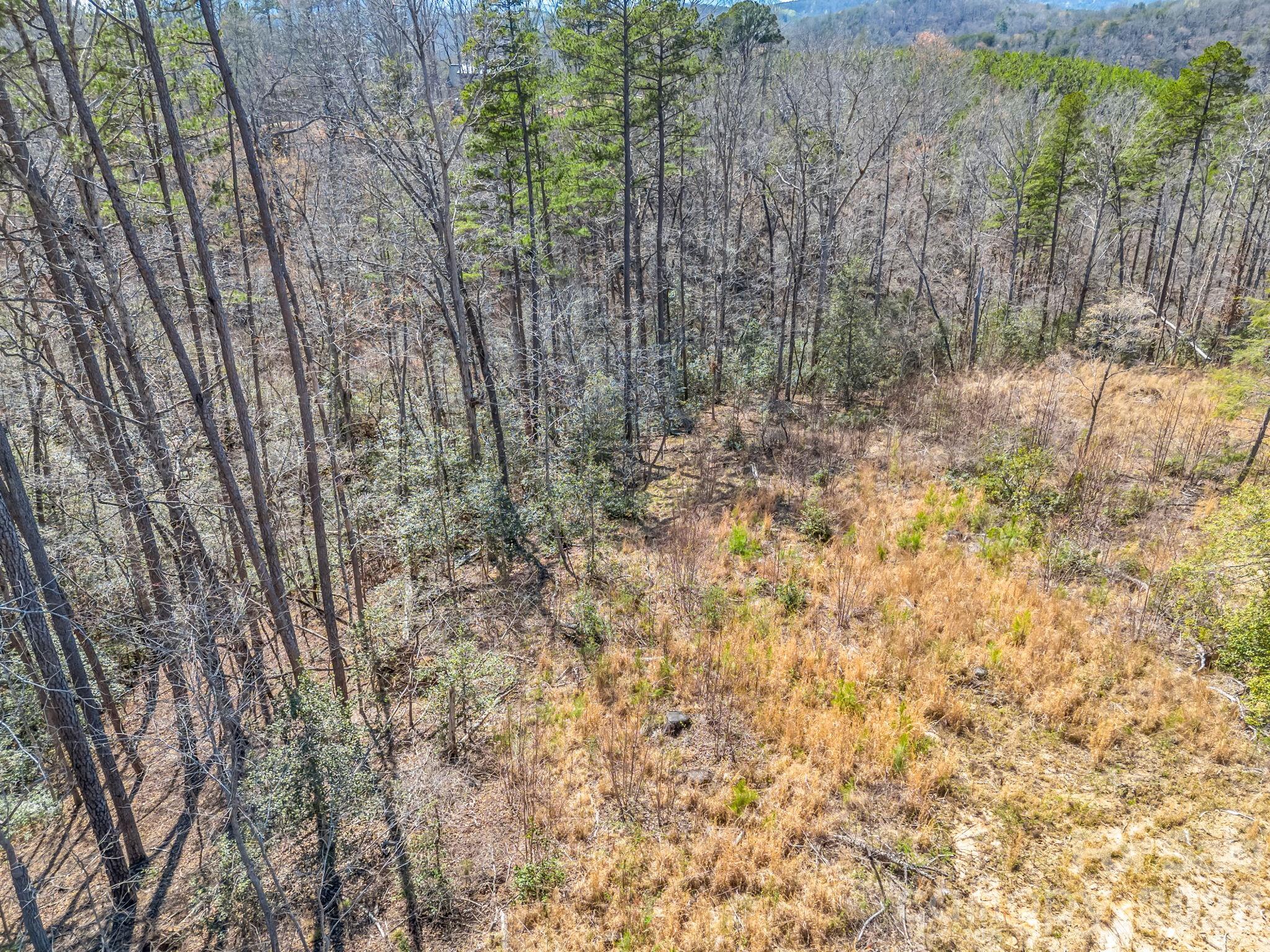 0 Shady Bark Lane, Unit 52 Rutherfordton, NC 28139 - Photo 45 of 45