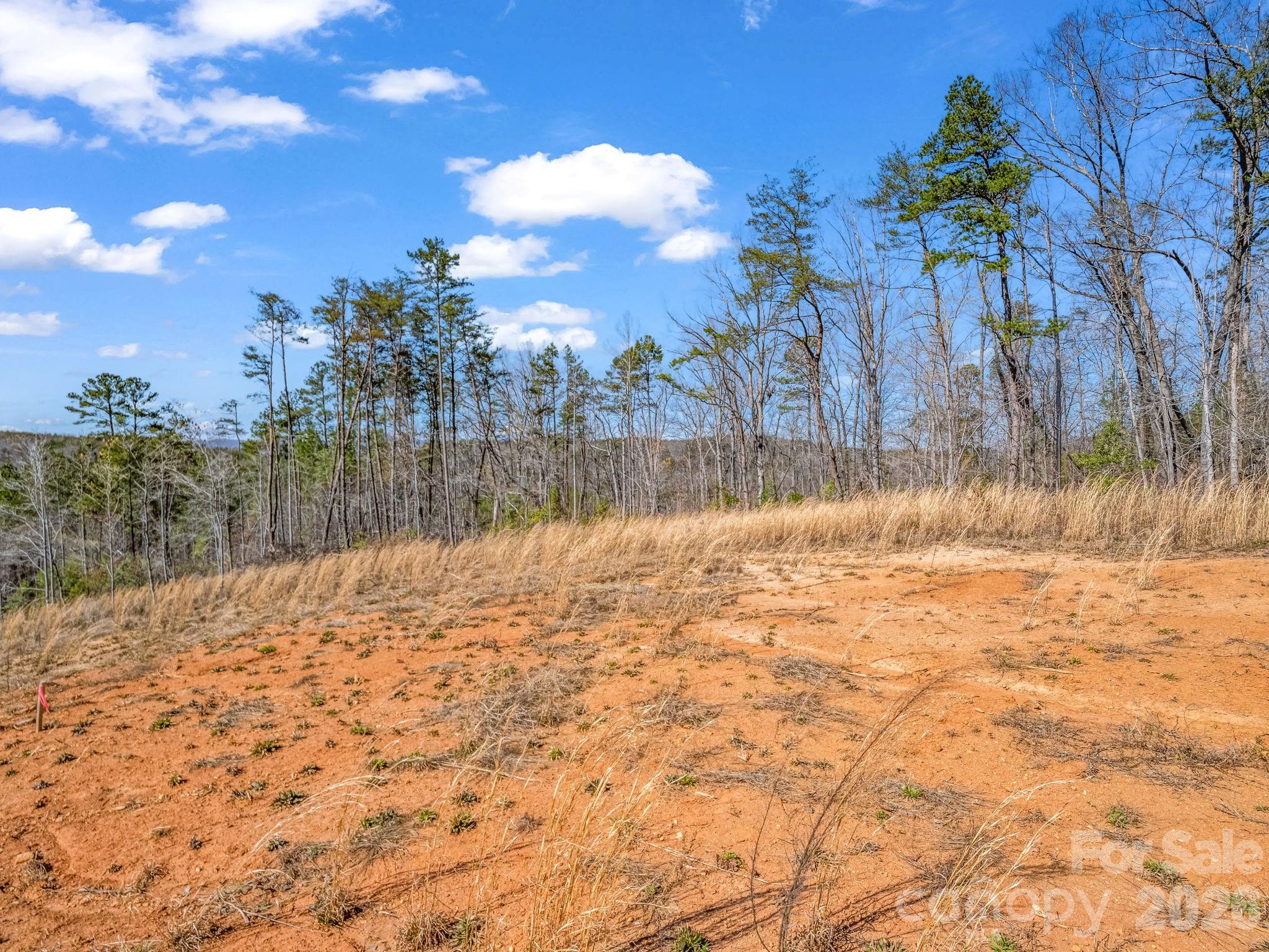 0 Shady Bark Lane, Unit 52 Rutherfordton, NC 28139 - Photo 6 of 45