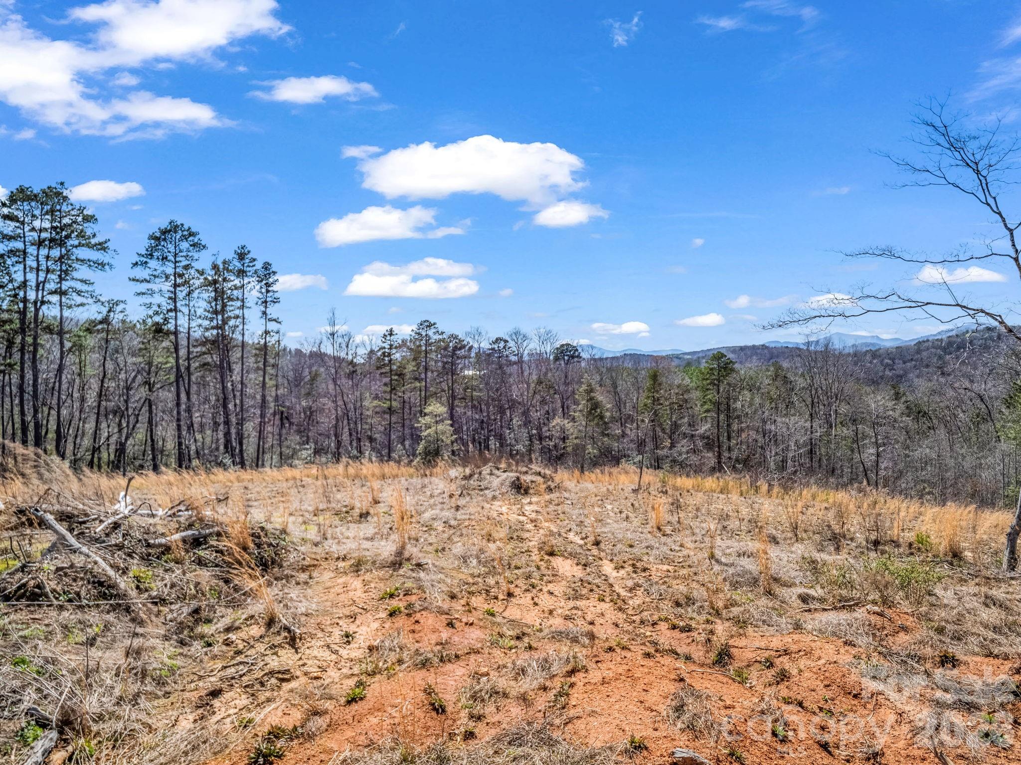 0 Shady Bark Lane, Unit 52 Rutherfordton, NC 28139 - Photo 7 of 45