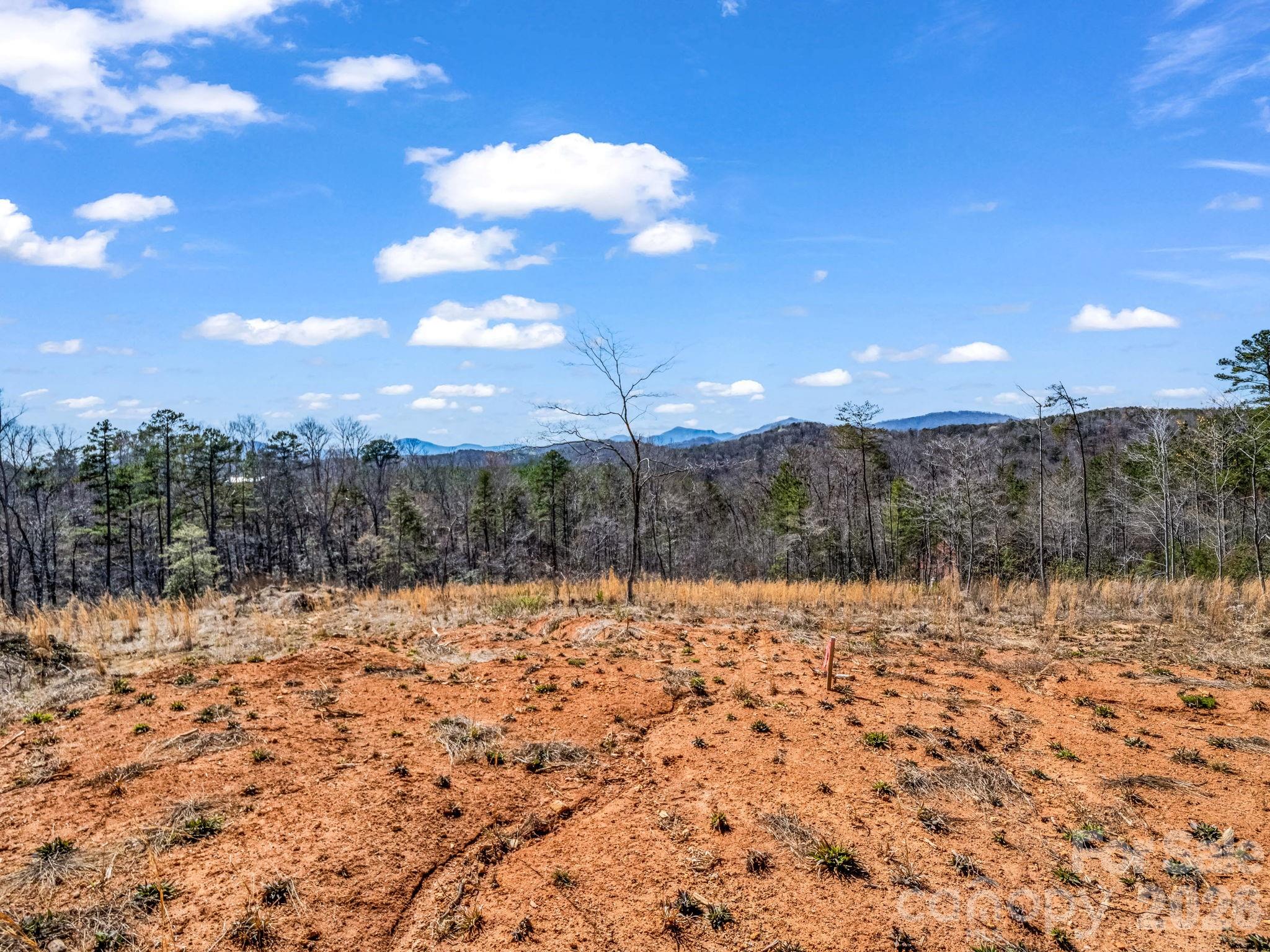 0 Shady Bark Lane, Unit 52 Rutherfordton, NC 28139 - Photo 9 of 45