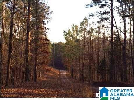 8681 Central Road Warrior, AL 35180 - Photo 25 of 31