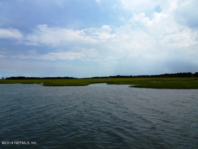 15775 Shellcracker Road Jacksonville, FL 32226 - Photo 10 of 25 a view of a lake and mountain