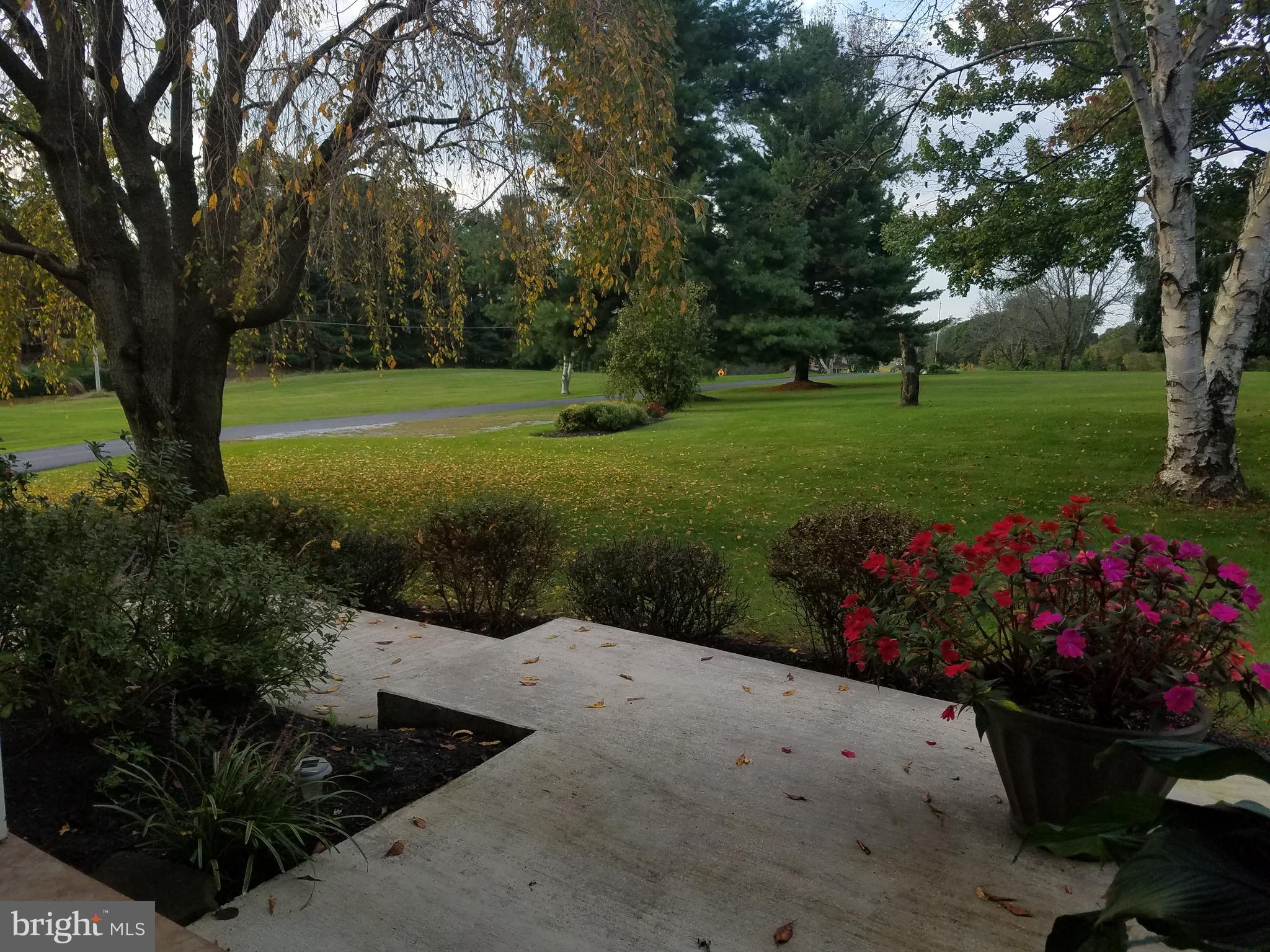 4547 Main Street Rohrersville, MD 21779 - Photo 7 of 28 a view of a garden with flowers and trees
