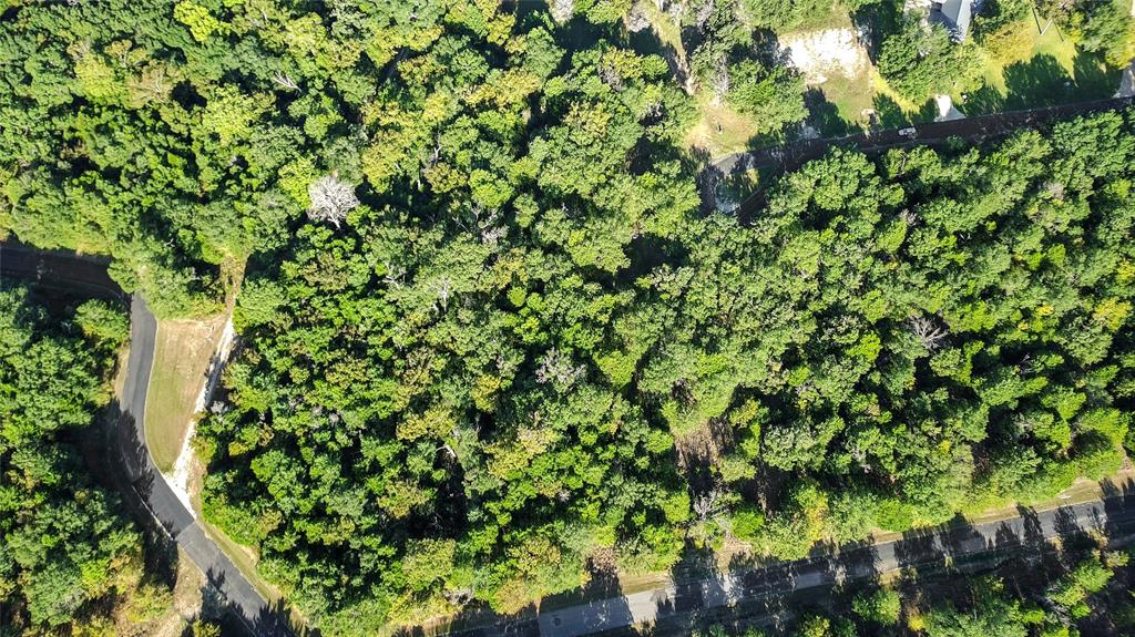 5 Appomattox Street Streetman, TX 75859 - Photo 6 of 7 a view of a tree