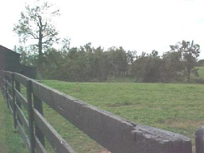 1620 Clintonville Road Winchester, KY 40391 - Photo 5 of 8 One of several fenced paddock area's or