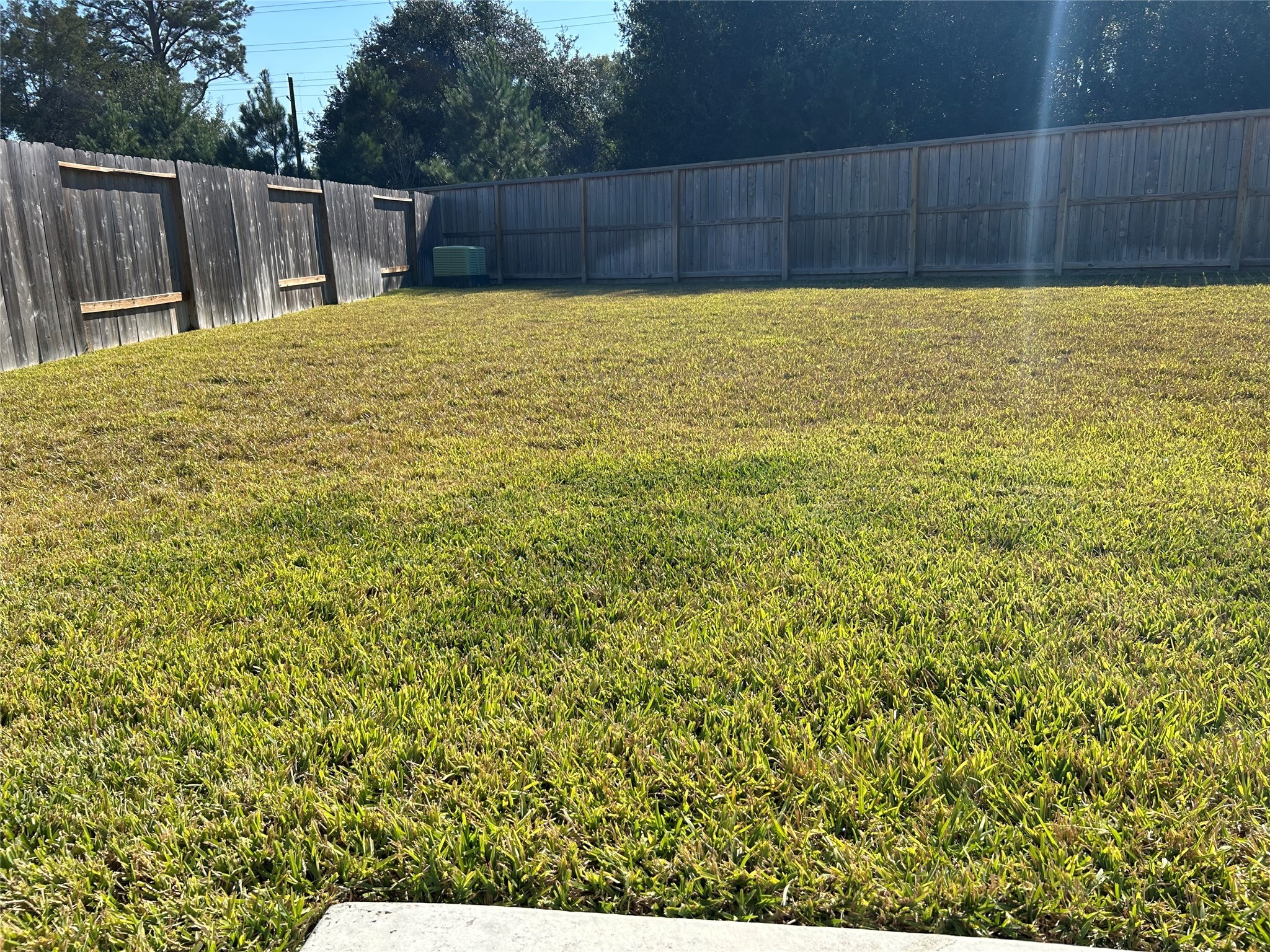 23415 Weir Box Road Hockley, TX 77447 - Photo 20 of 35 a view of a backyard