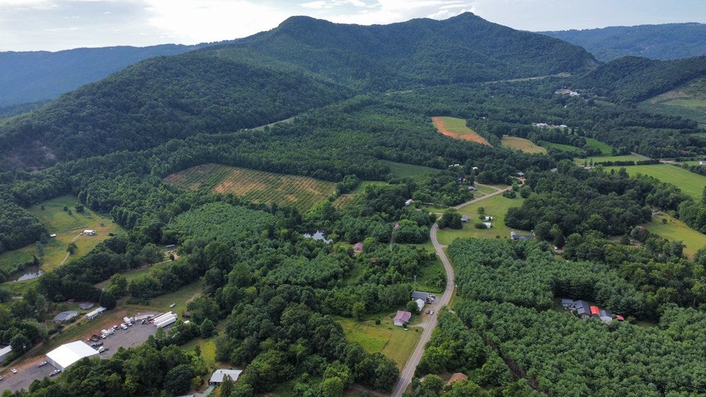 4160 Flower Gap Road Cana, VA 24317 - Photo 11 of 17 Gallery Image 11