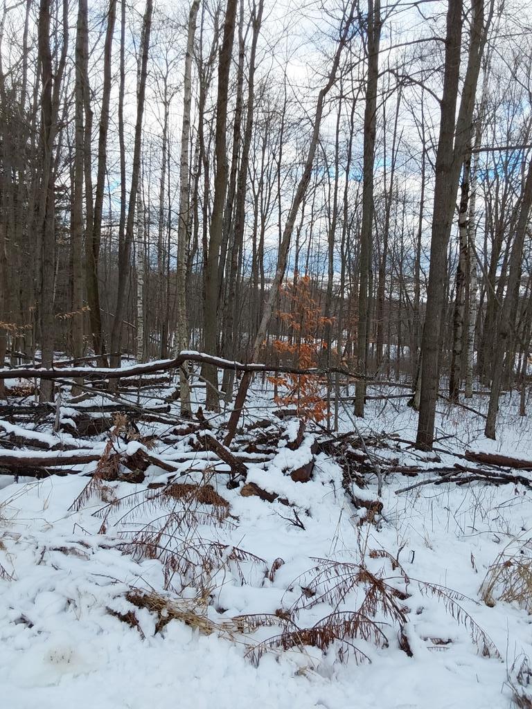 0 Starr Road Campbell, NY 14821 - Photo 1 of 1