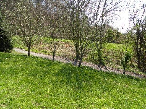 226 Old Springs Road Maynardville, TN 37807 - Photo 31 of 40 20130909230625885424000000-o