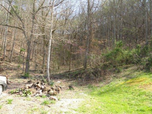 226 Old Springs Road Maynardville, TN 37807 - Photo 32 of 40 20130909230626071353000000-o