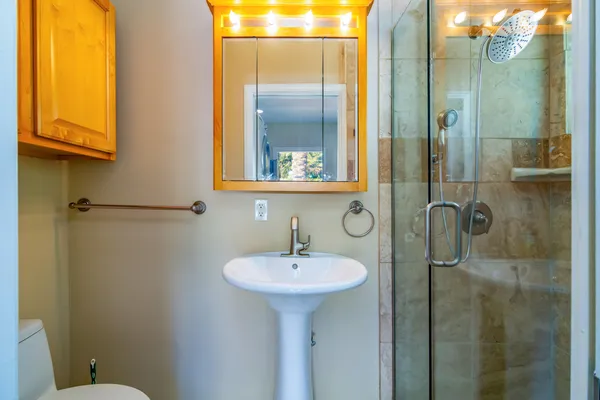 a bathroom with a sink a mirror and a shower