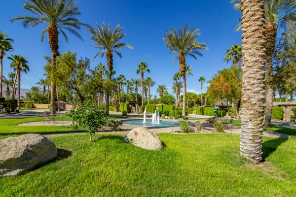 a view of a swimming pool with a garden and plants