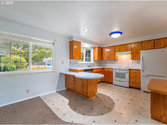 3138 Columbine Street Eugene, OR 97404 - Photo 10 of 20 Kitchen
