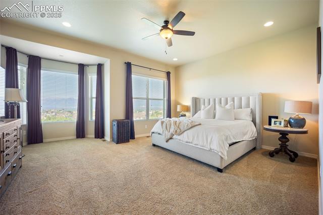 1987 Ripple Ridge Road Colorado Springs, CO 80921 - Photo 21 of 50