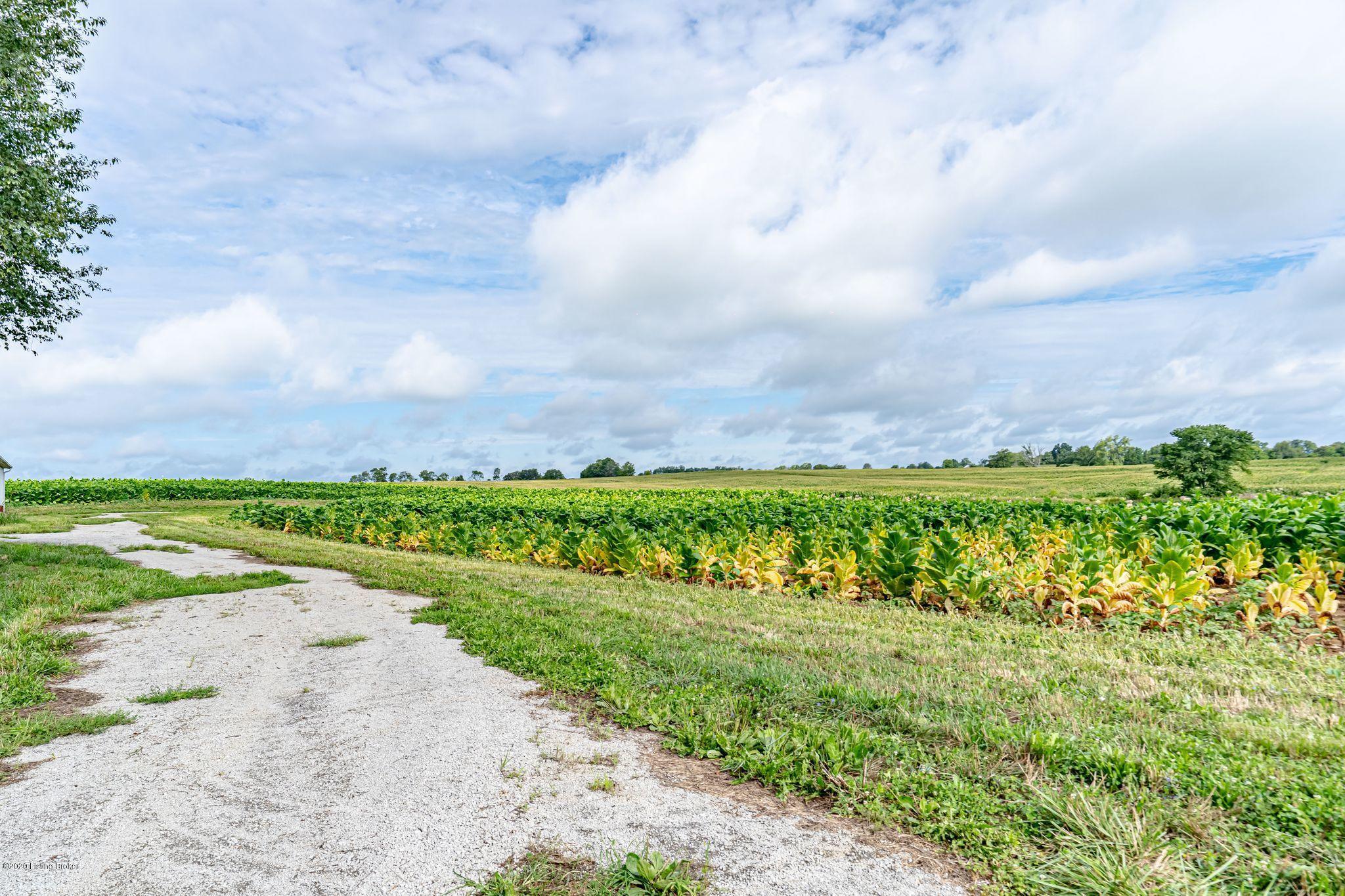 0 Cropper Road Shelbyville, KY 40065 - Photo 26 of 30 Crops