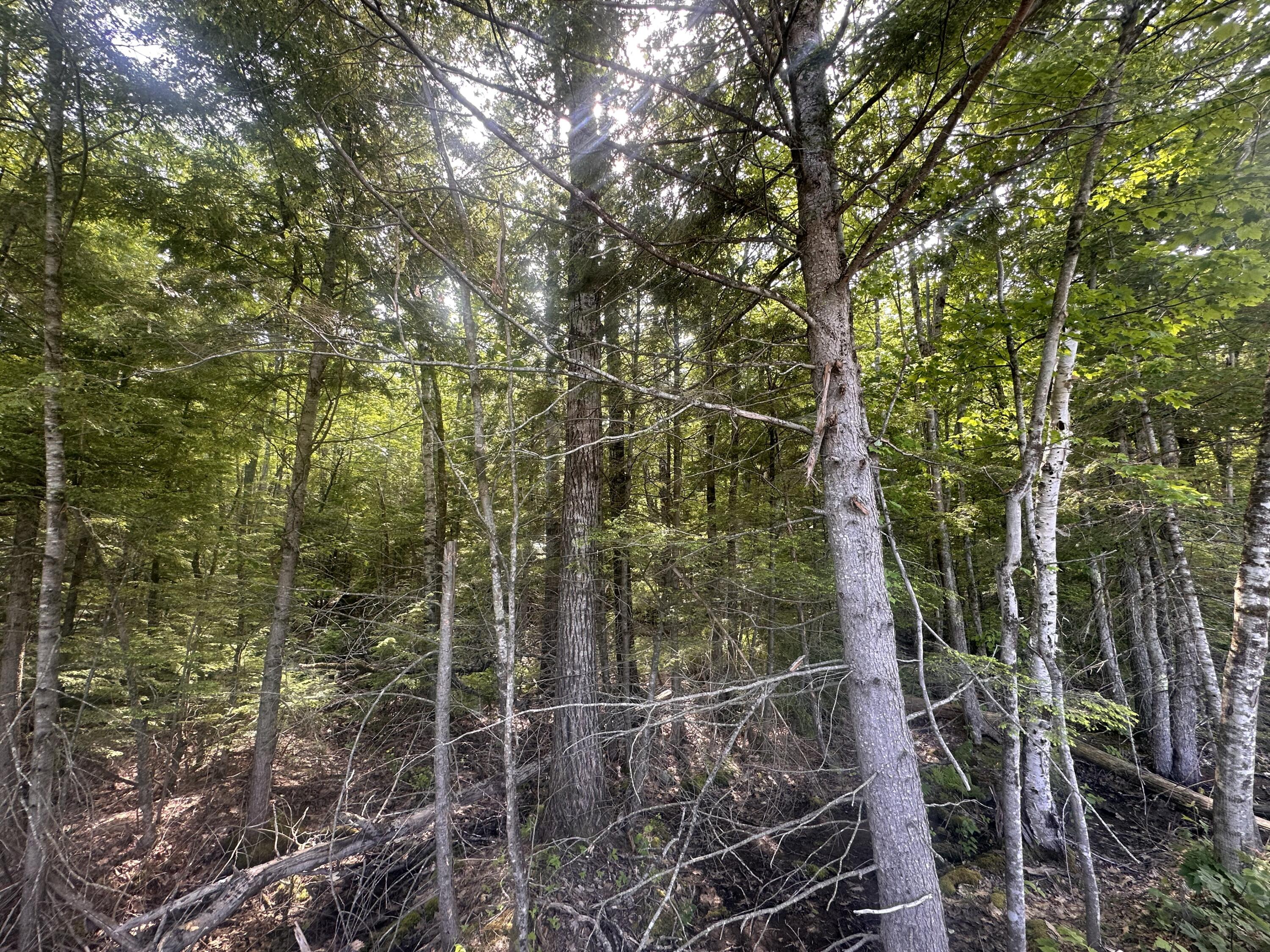 Lot #15 Greenacre Road Lincolnville, ME 04849 - Photo 20 of 23