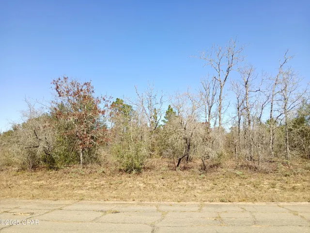 $7,500 | Lot 11 Telford Street, Chipley, FL 32428