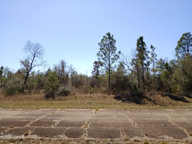 $7,500 | Lot 11 Telford Street, Chipley, FL 32428