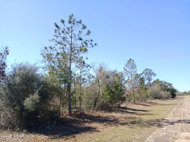 $7,500 | Lot 11 Telford Street, Chipley, FL 32428