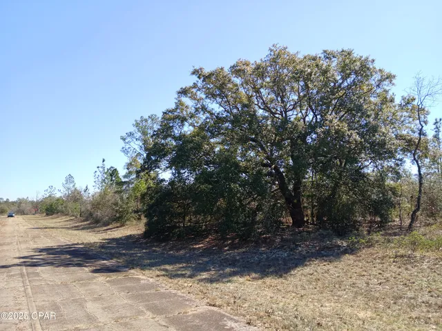 $7,500 | Lot 11 Telford Street, Chipley, FL 32428