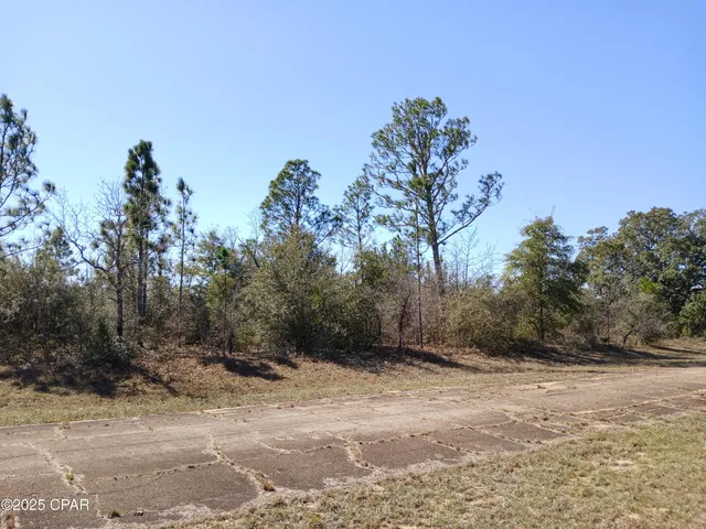 $7,500 | Lot 11 Telford Street, Chipley, FL 32428